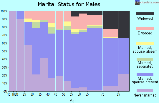 Dickenson County marital status for males