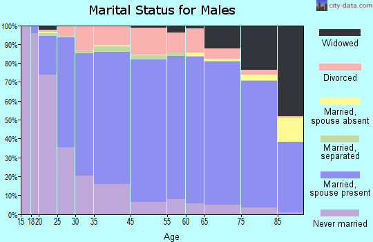 Hinsdale County marital status for males