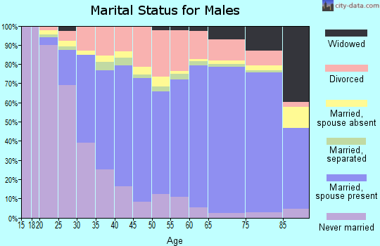 Hernando County marital status for males