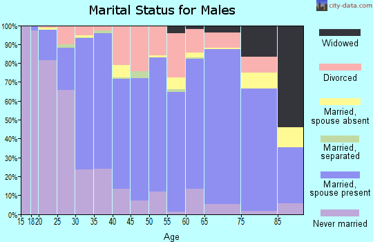 Ford County marital status for males