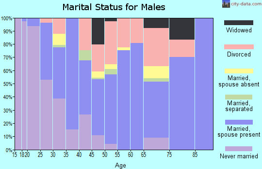 Clinton County marital status for males