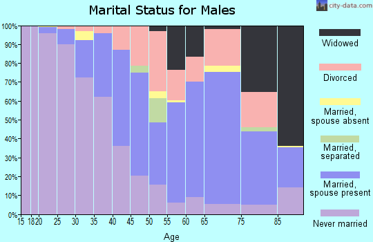 Socorro County marital status for males