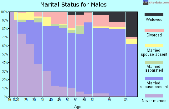 Burnet County marital status for males