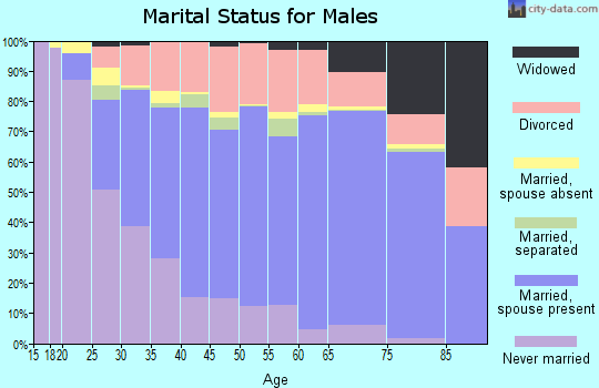 Etowah County marital status for males