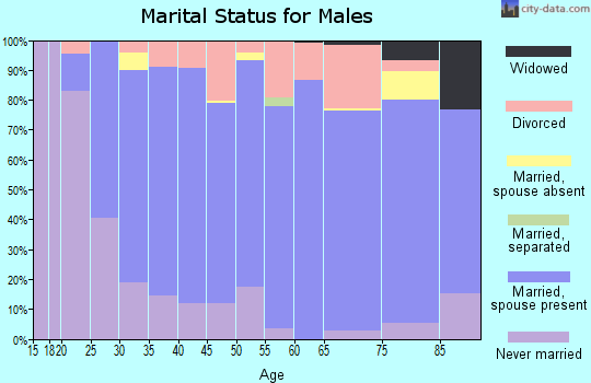 Hamlin County marital status for males