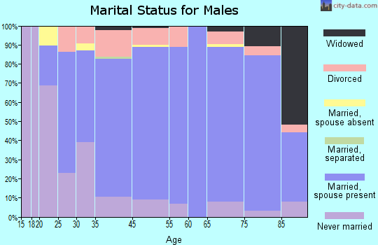 Arthur County marital status for males