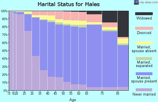 Fairfax County marital status for males