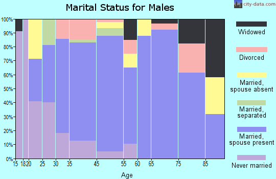 Bristol Bay Borough marital status for males