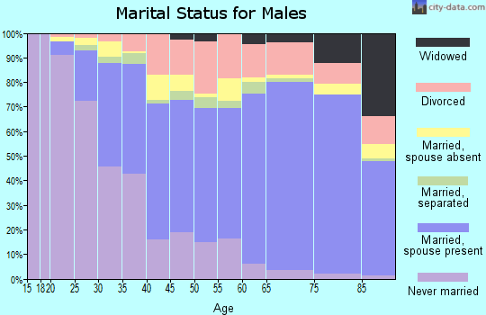 Indian River County marital status for males