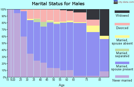 Itasca County marital status for males