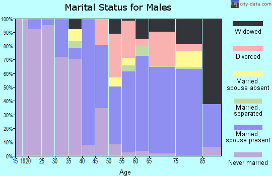 Mineral County marital status for males