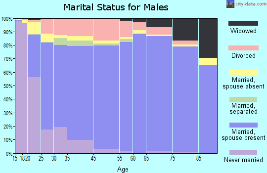 Hanson County marital status for males
