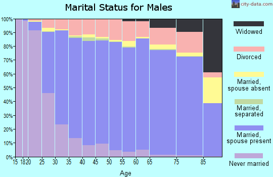 Hendricks County marital status for males