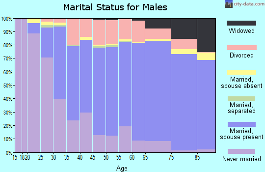 Huron County marital status for males