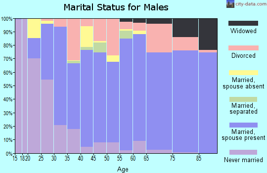 Minidoka County marital status for males