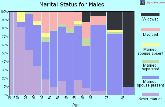 Fleming County marital status for males