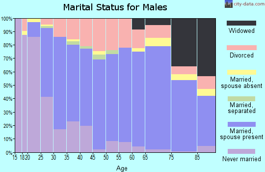 Boone County marital status for males