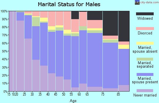 Gaston County marital status for males