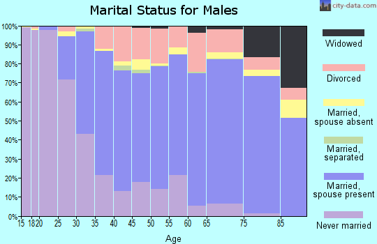 Leon County marital status for males
