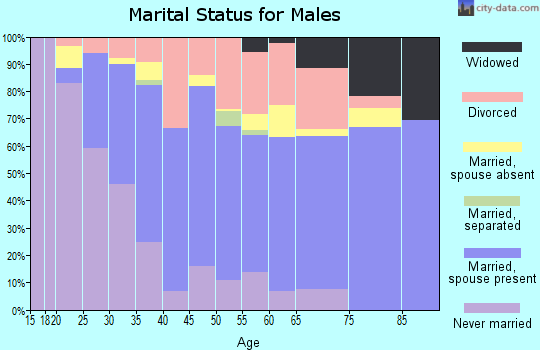 Owyhee County marital status for males