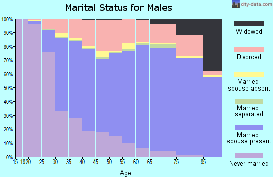 Isabella County marital status for males