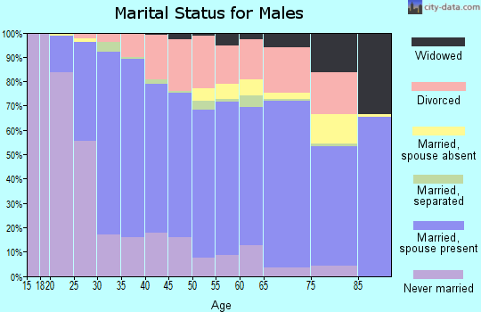 Hocking County marital status for males