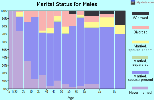 Kingfisher County marital status for males