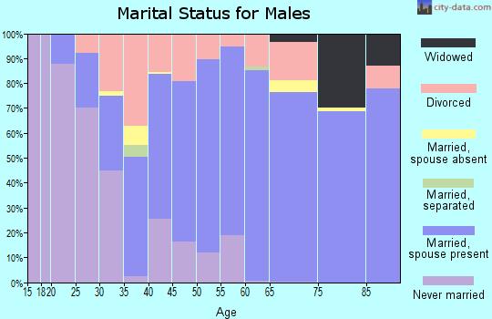 Pleasants County marital status for males