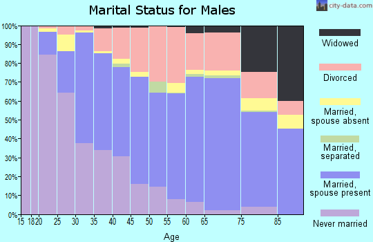 Levy County marital status for males