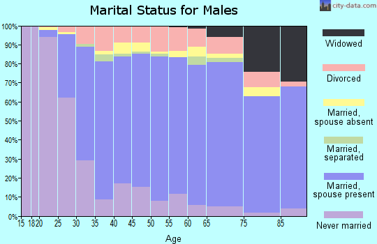 Iroquois County marital status for males