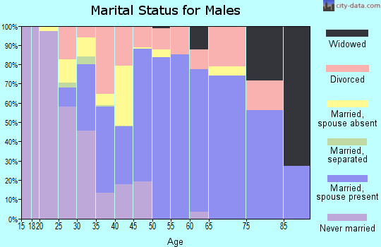Childress County marital status for males