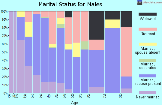 Gallatin County marital status for males