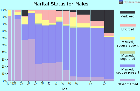 Kauai County marital status for males