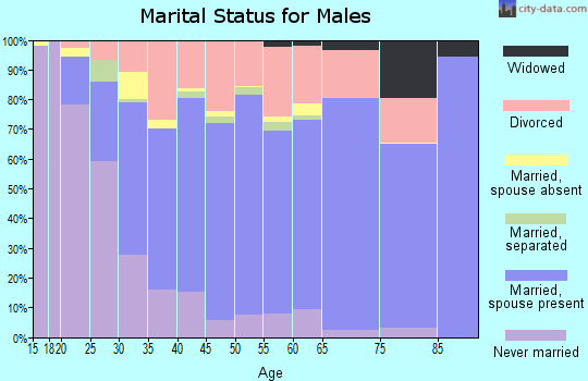 Henderson County marital status for males
