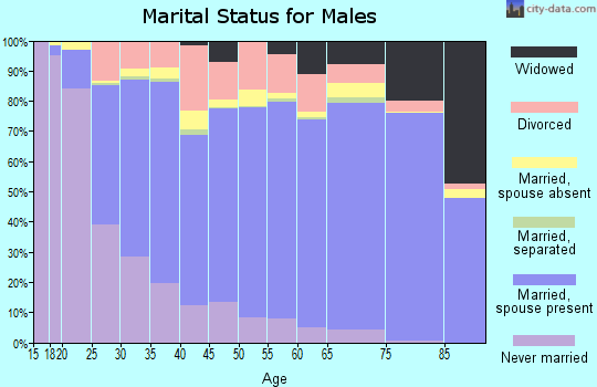 Twin Falls County marital status for males