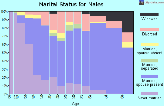 Audrain County marital status for males