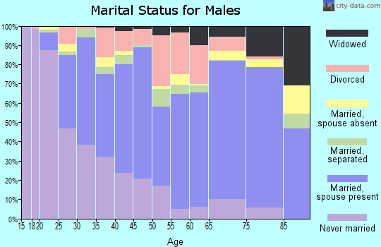 Lowndes County marital status for males