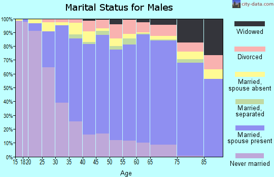 Rockland County marital status for males