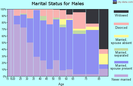Roane County marital status for males