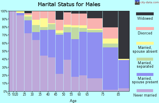 Williamsburg County marital status for males