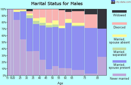 Fairbanks North Star Borough marital status for males