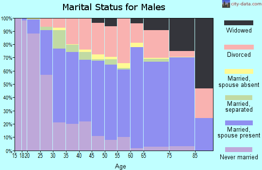 Miller County marital status for males