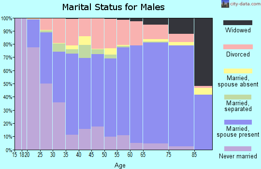Logan County marital status for males
