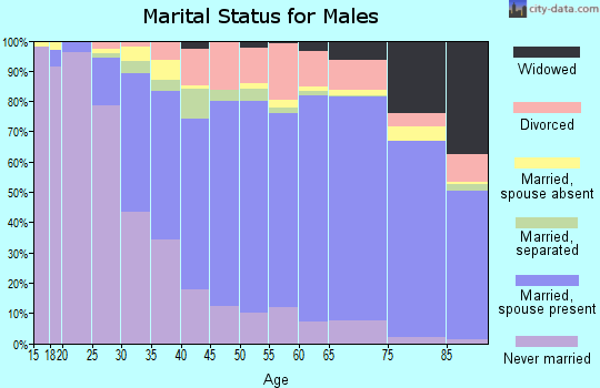 Beaver County marital status for males