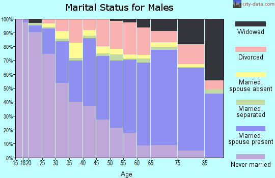 Allegany County marital status for males