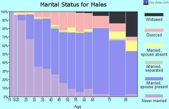 Minnehaha County marital status for males
