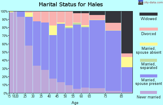 Murray County marital status for males
