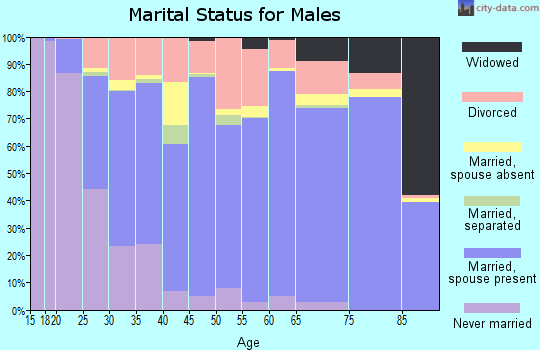 Blount County marital status for males