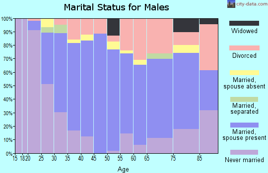 Rio Blanco County marital status for males