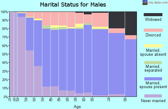 Effingham County marital status for males
